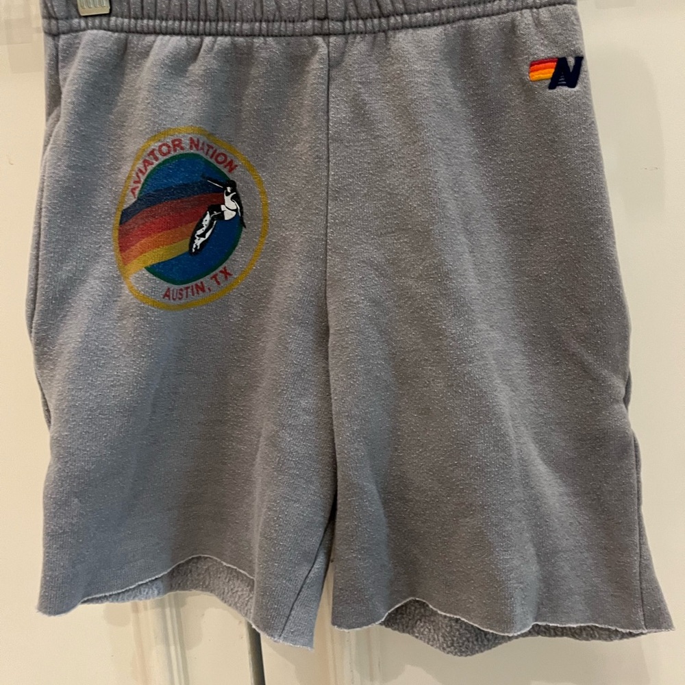 Aviator Nation Gray Kids SweatShorts